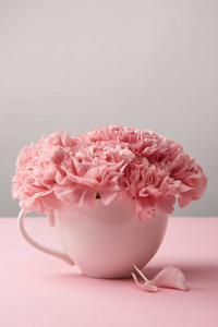 在灰色的杯子里，近距离观看美丽的粉红色康乃馨花
