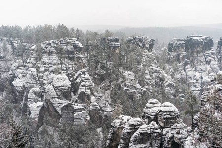 雪中的森林和岩石。 自然之美。 欧洲的冬天有美丽的风景。 旅行时间。