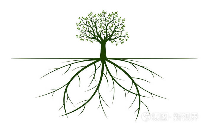 有叶子和根的树 矢量图 植物和花园.