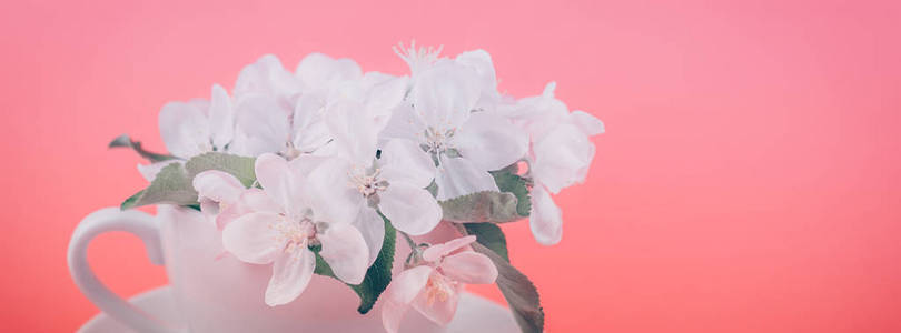 创意概念咖啡杯和白色苹果树在粉红色背景上开花，复制空间，以最小的风格模板为文本。
