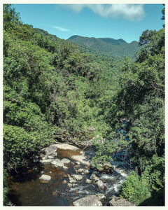 景观与瀑布从顶部绿色的自然和山脉。 巴西塞拉做马尔帕拉南塞卡乔伊拉达卡萨做伊皮兰加。 参观从库里蒂巴到莫雷特斯的火车之旅。