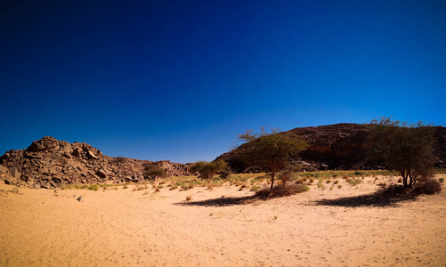 阿尔及利亚塔西里纳杰尔国家公园的沙漠景观贝尔吉峡谷