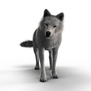 三维插图渲染一只白狼专注地看着远处。 特别适合超自然野生动物恐怖惊悚片和许多其他类型的书籍封面艺术。 一个系列。