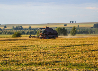 联合收割机。 老联合收割机在麦田上工作，Kombain收集小麦作物。 农业机械在田间。