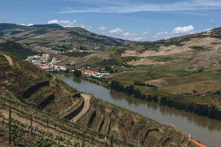 葡萄牙品豪杜洛河附近的葡萄园