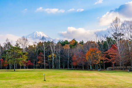 日本大林秋季湖泊四周枫叶树的富士山美景