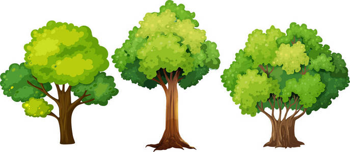 一组不同的树设计插图