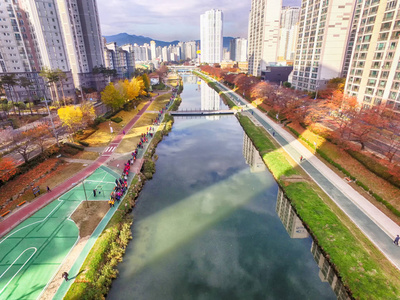 韩国釜山公民公园秋