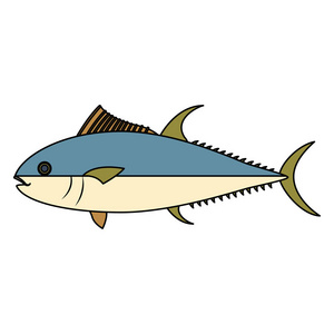彩色鱼健康海鲜制作矢量插图