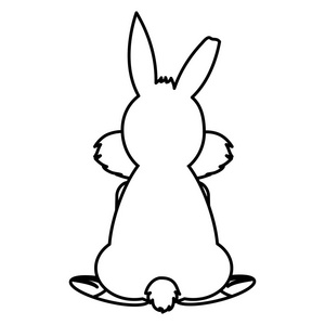 兔子尾巴线野生兔子动物回来，很好的尾巴矢量插图照片