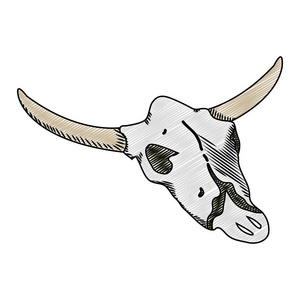 野牛野牛沙漠死亡头骨矢量图插画