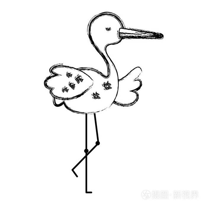 可爱的鹳鸟野生鸟动物矢量图