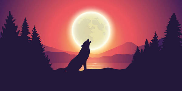 狼在湖边的森林和山水边呼啸着月亮
