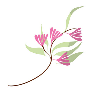 热带花卉风格的外来植物矢量插图
