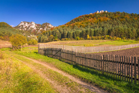 秋天五彩缤纷的乡村景观苏洛夫岩石国家自然保护区斯洛伐克欧洲。