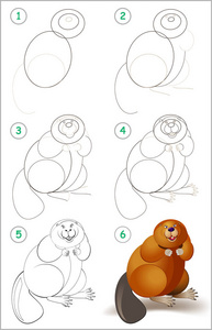 儿童教育页面展示了如何一步地学习画一只可爱的海狸。 回学校去。 培养儿童绘画和着色的技能。 矢量卡通形象。