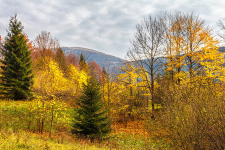 斯洛伐克欧洲马拉法特拉国家公园的秋季景观。
