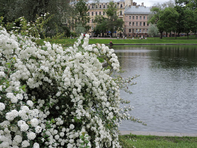 尤苏波夫花园春天圣彼得堡