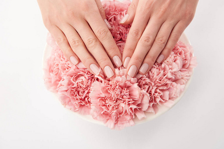 女性触摸白色背景圆形盘子中的康乃馨花瓣的部分视图