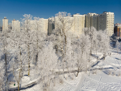 在阳光明媚的日子里可以看到被白雪覆盖的城市公园。莫斯科, 俄罗斯