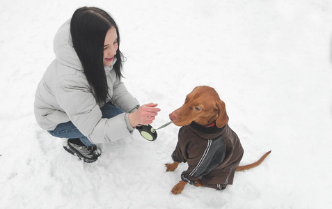 主人和一只可爱的棕色狗在雪地里坐着玩。 冬天在雪地里散步和狗游戏。 狗在冬天散步时饲养马贾尔和女孩。