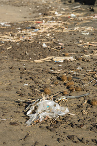 沙滩上的塑胶及垃圾物料污染图片