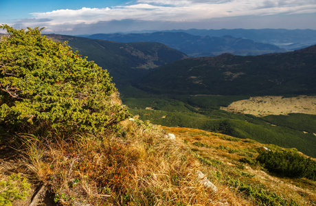 喀尔巴阡山公园美丽的绿色山谷全景。