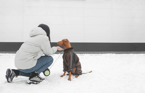 穿着冬天衣服的女人和穿着夹克的狗坐在雪地上，背景是白色的墙。 冬天和狗一起散步。 共用空间