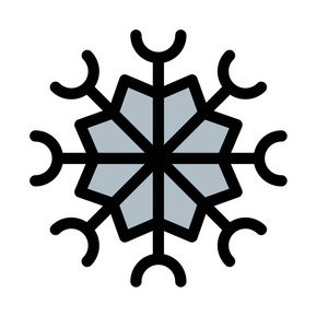 雪晶形状矢量插图