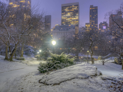 纽约曼哈顿中央公园冬季