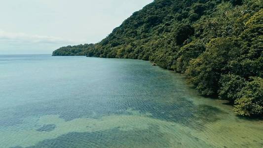 空中无人机图片一个遥远的南太平洋岛屿与沙滩海岸和美丽的海洋海景和郁郁葱葱的热带雨林