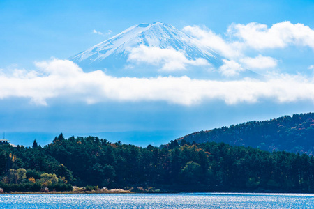 秋季环湖枫叶树的富士山美景