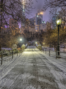 纽约曼哈顿中央公园冬季