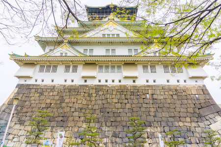 大阪城堡绿树叶冬春季节日本大阪