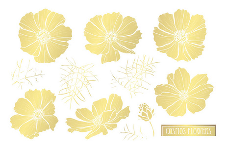 装饰宇宙花卉设计元素。 可用于卡片邀请横幅海报印刷设计。 金色花朵