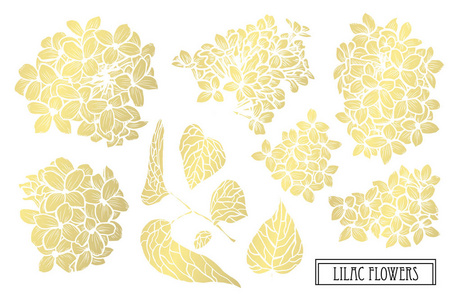 装饰丁香花的设计元素。 可用于卡片邀请横幅海报印刷设计。 金色花朵