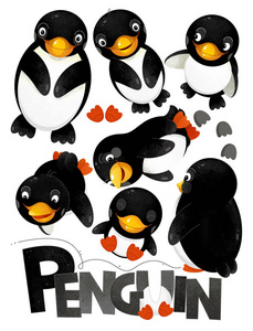 卡通场景，白色背景上有一套企鹅，有儿童动物插图的标志名称