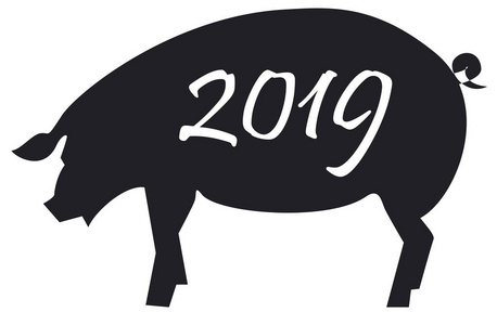  White sketch of pig with 2019 number. Creative greeting card de