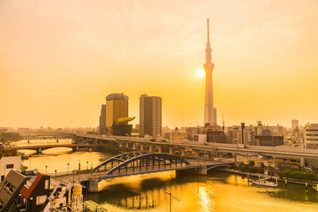 东京市美丽的建筑，日出时有东京天空之树