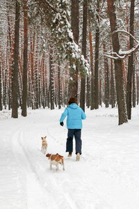冬天的松林里，一个长着红胡子的开朗英俊的年轻人和一只狗的肖像。 在冬天的一天，他从松枝上吹雪。 高大的松树。 垂直定向