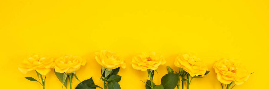 黄色背景上的黄花。 春天复活节阳光明媚