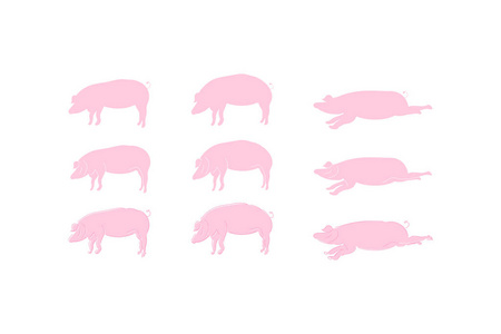 剪影猪集合图标为2019年在粉红色的颜色查出在白色背景。平面向量背景 epps 10