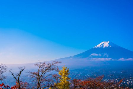 日本大林秋季枫叶树四周美丽的富士山景观，白云蓝天