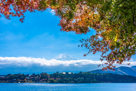 秋季环湖枫叶树的富士山美景