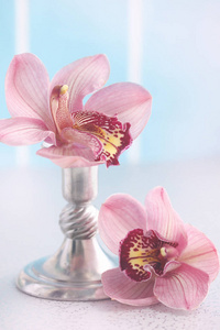 金属花瓶中的粉红色蝴蝶兰花