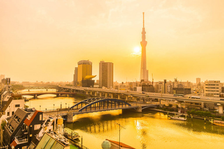 东京市美丽的建筑，日出时有东京天空之树