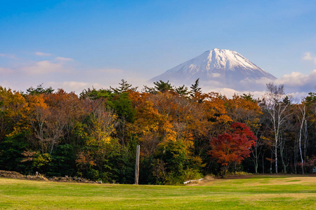 日本大林秋季湖泊四周枫叶树的富士山美景