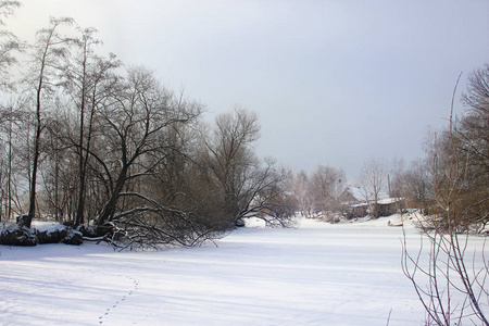 美丽的冬季乡村景观。