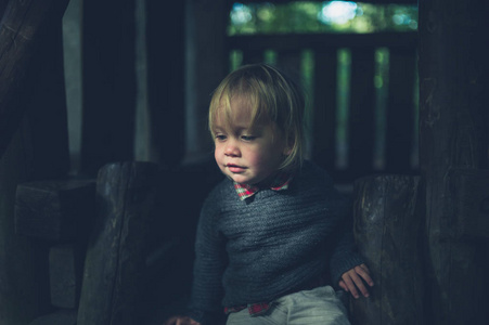 秋天，一个小蹒跚学步的孩子坐在树屋里