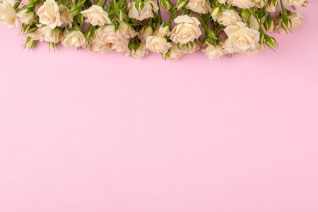 一帧米色美丽的小玫瑰在明亮的粉红色背景。假期。文本的位置。俯视图